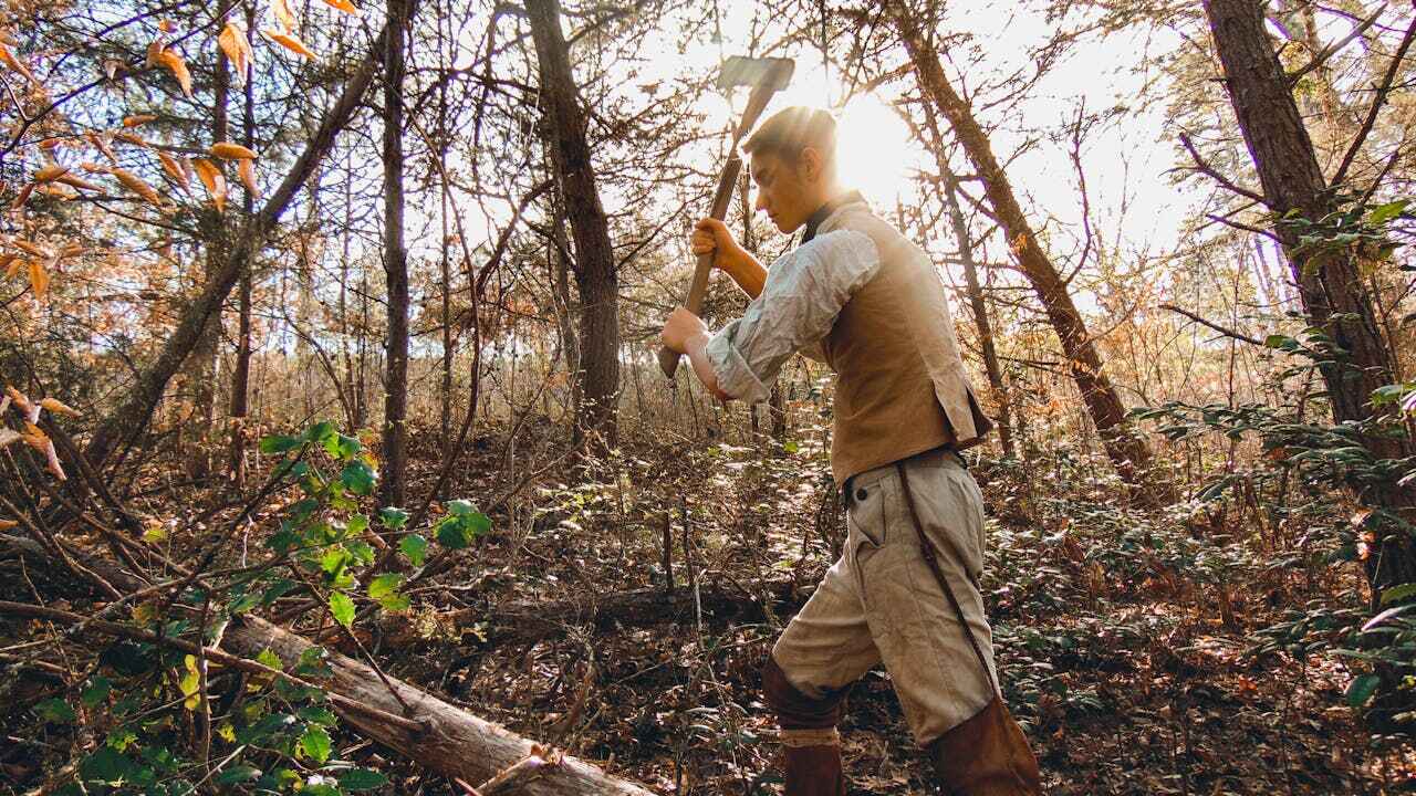 Residential Tree Removal in Alcoa, TN